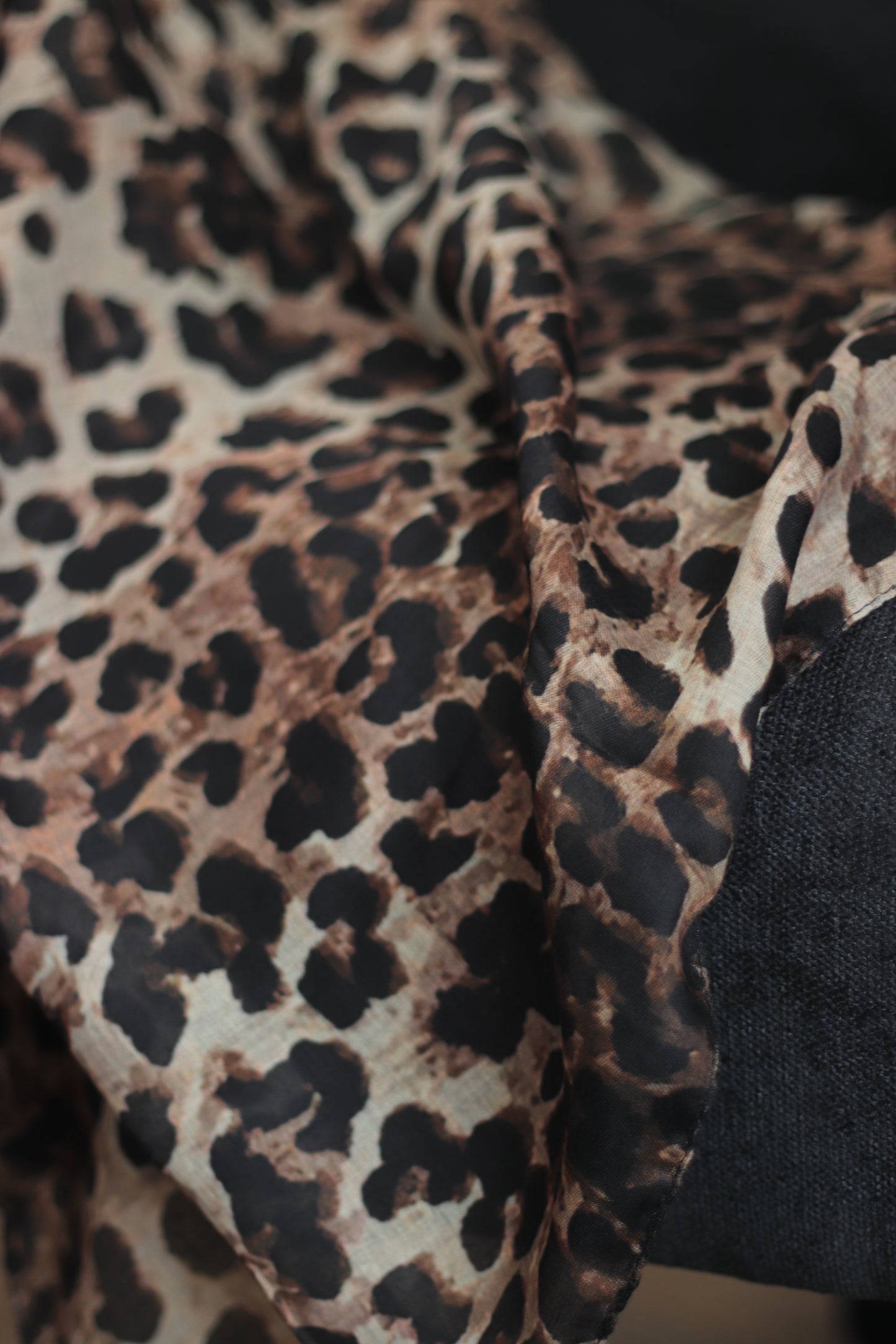 Bold Leopard